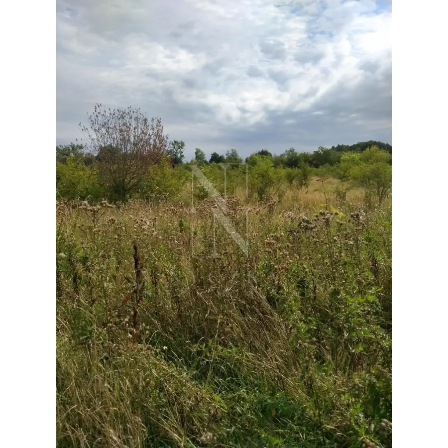 zachodniopomorskie, Pyrzycki, Pyrzyce, DZIAŁKA PYRZYCE GM. PYRZYCE POW.3001M2.