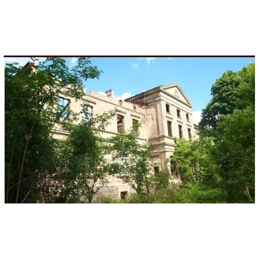 zachodniopomorskie, Goleniowski, Nowogard, Wierzbięcin, Pałac Wierzbięcin,gm.Nowogard,park-do remontu