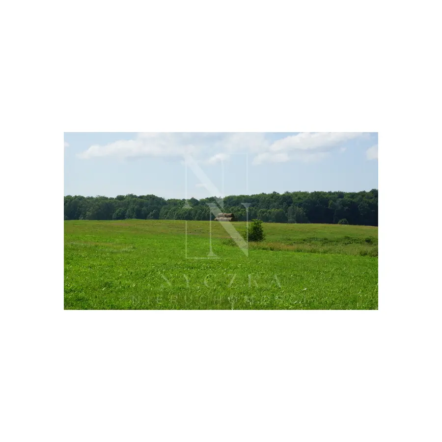 zachodniopomorskie, Koszaliński, Bobolice, Działka 2.3103ha,m.Bobolice,las,dr.asfaltowa.