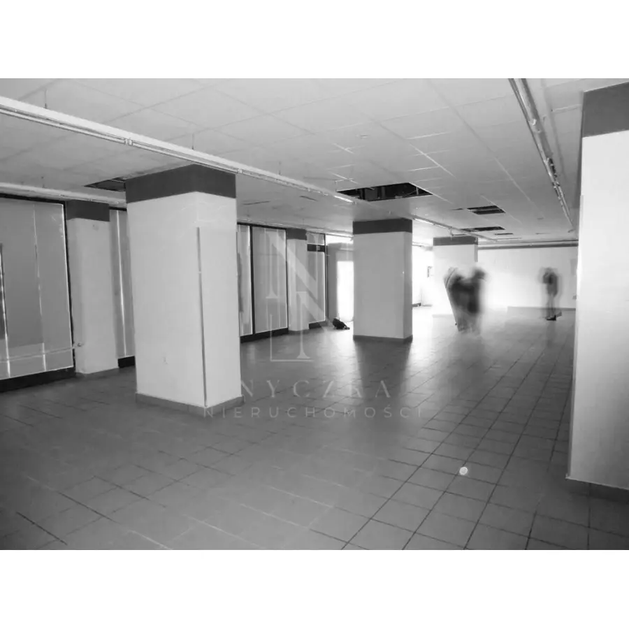 zachodniopomorskie, Szczecin, Centrum, Duży lokal (264m2) w Centrum