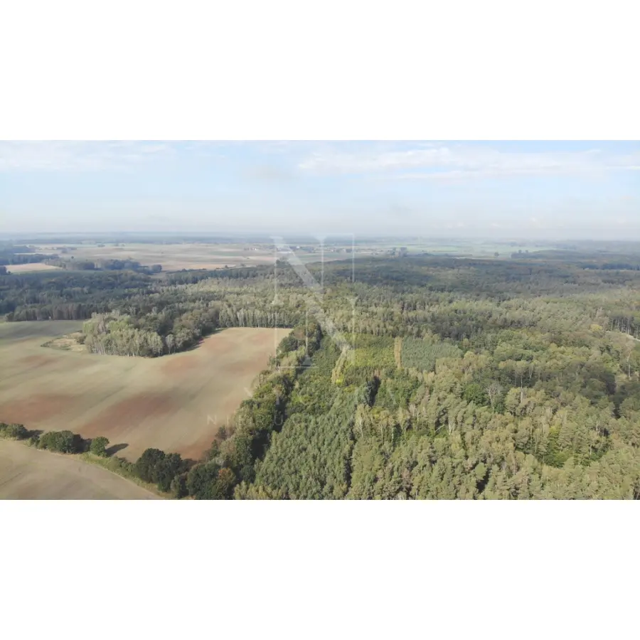 zachodniopomorskie, Myśliborski, Myślibórz, Rów, Działka przy lesie