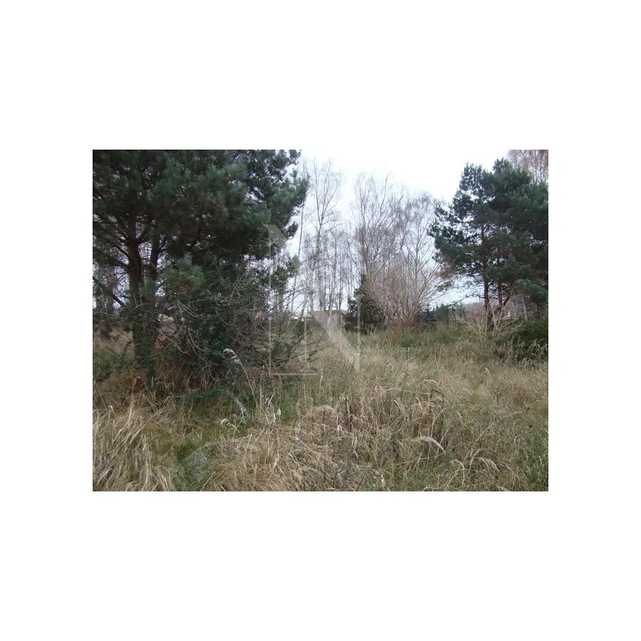 zachodniopomorskie, Gryfiński, Gryfino, Pniewo, Działka malowniczo położona 2267 m2 270000 zł