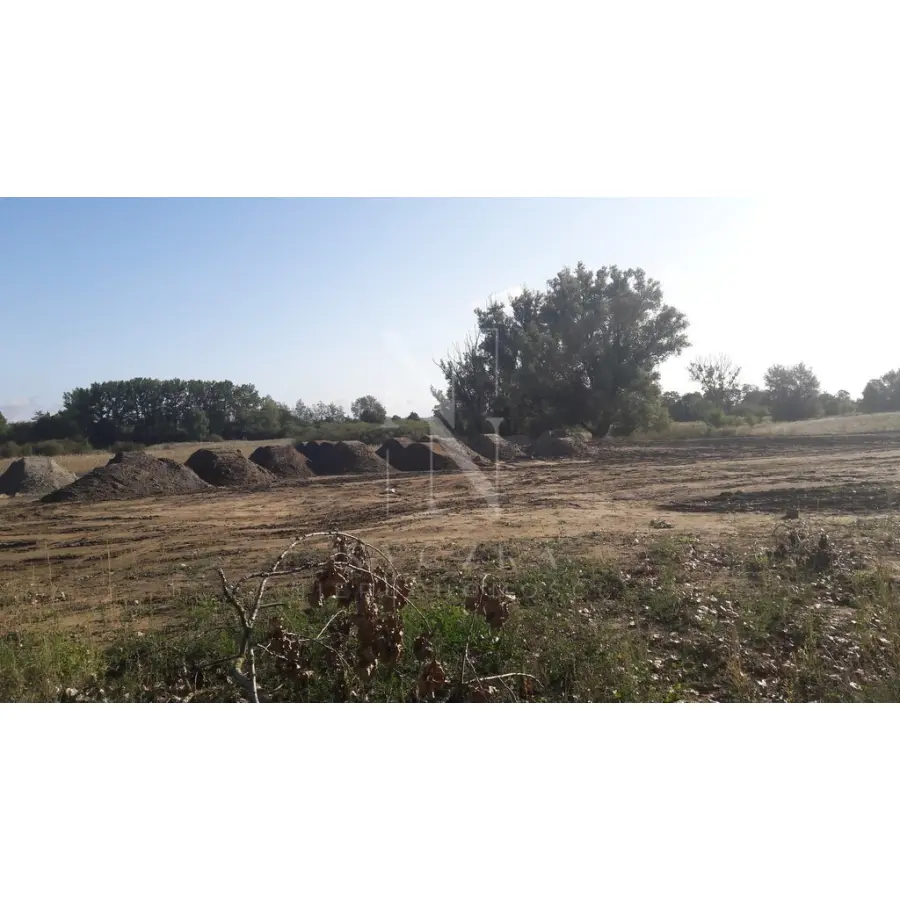 zachodniopomorskie, Policki, Kołbaskowo, Działka 2,5 ha, DWZ dom jednorodzinny Kołbaskowo.