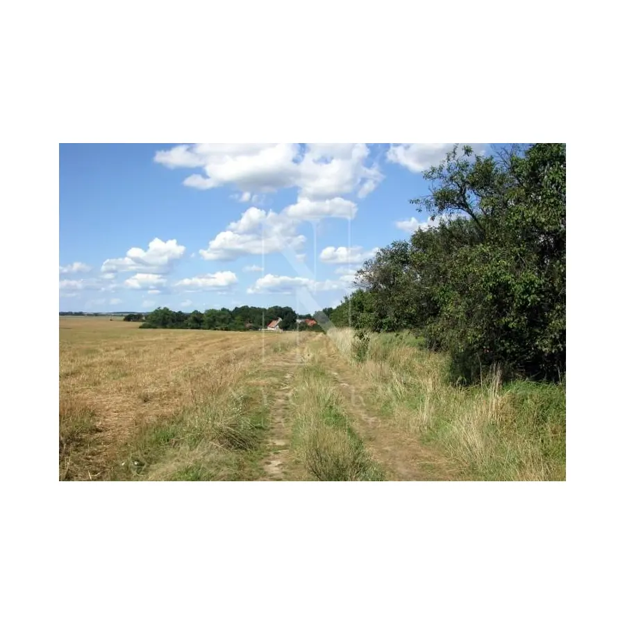 zachodniopomorskie, Policki, Kołbaskowo, Barnisław, Barnisław, działka rolna o powierzchni 4,7 ha