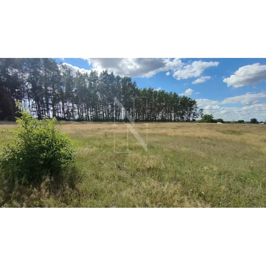 zachodniopomorskie, Goleniowski, Goleniów, Komarowo, Duża działka w pobliżu lasu