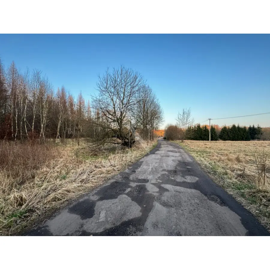zachodniopomorskie, Goleniowski, Nowogard, Błotno, Błotny Młyn, Błotny Młyn 903 m2 działka przy lesie na sprzedaż!