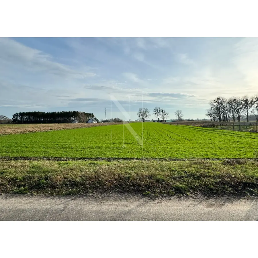 zachodniopomorskie, Goleniowski, Goleniów, Borzysławiec, 1,01 ha działka w Borzysławcu /k Lubczyny