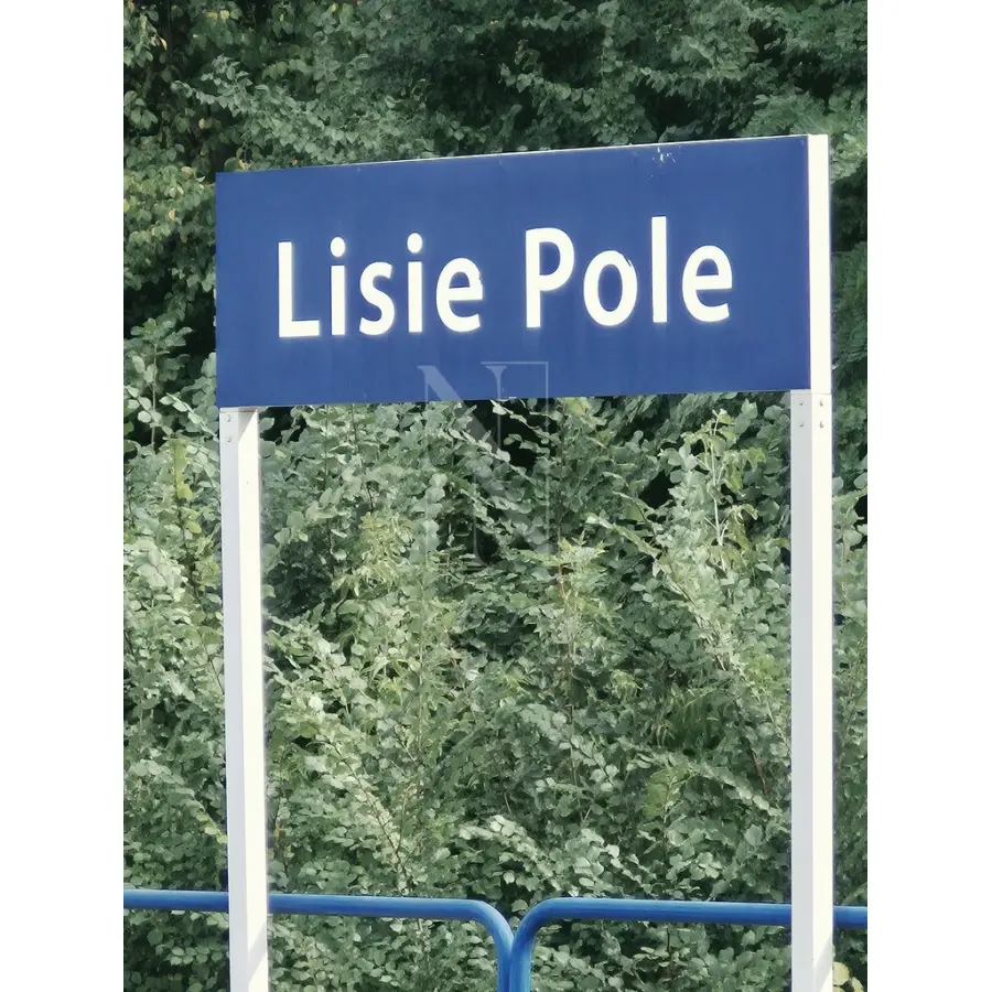 zachodniopomorskie, Gryfiński, Chojna, Lisie Pole, Dwurodzinny dom wolnostojący z przepiękną fasadą