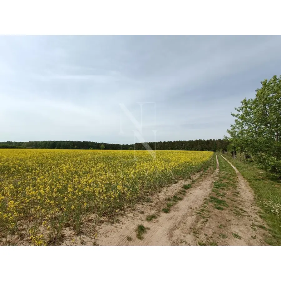 zachodniopomorskie, Goleniowski, Goleniów, Stawno, Działki pod zabudowę blisko lasu