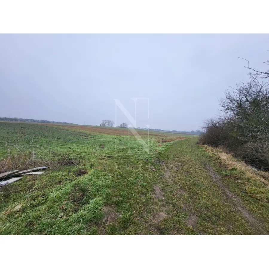 zachodniopomorskie, Policki, Kołbaskowo, Warzymice, Warzymice / działki po 3000 m2